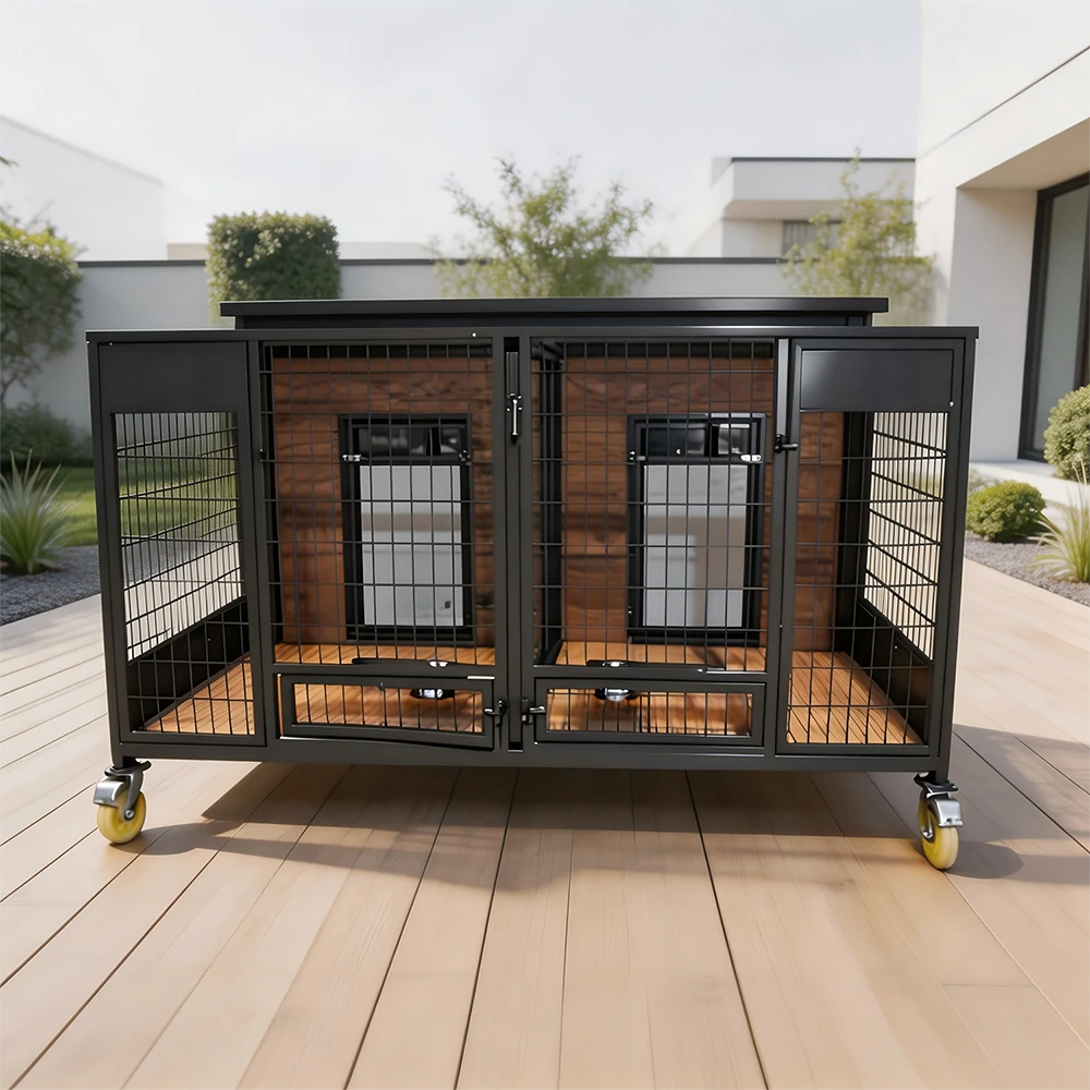 Double-cage Series